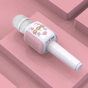 Acesquare Wireless Bluetooth Singing Mic with HiFi Speaker, Audio Record & Karaoke Feature Microphone