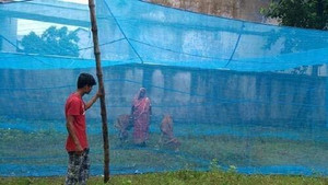चिराग Mosquito net for pet Animals Tent/Machardani Cow/Buffalo (20x10x10) HDPE - हाई डेंसिटी पॉली एथिलीन के लिए बनाया गया मॉस्कीटो नेट