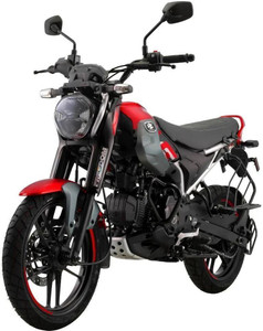 BAJAJ Freedom 125 CNG (Disc LED) - Image 6