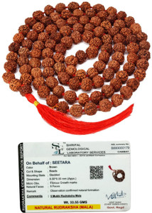 Seetara Mala 108 +1 Rudraksha Beads Beads Rudraksha Chain