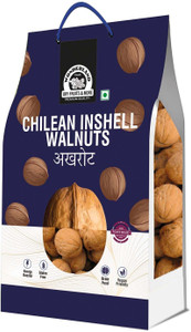 वंडरलैंड चिली इनशेल