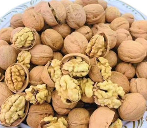 ZION Walnuts 1kg Inshell Akhrot Paper Shell califonrina whole Akrot|Sabut akhrot Walnuts