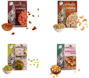 Hanumakkhya Gift Hamper(50*4)Best Gift Almonds, Apricots, Cashews, Raisins 200gm Cashews, Almonds, Apricots, Raisins