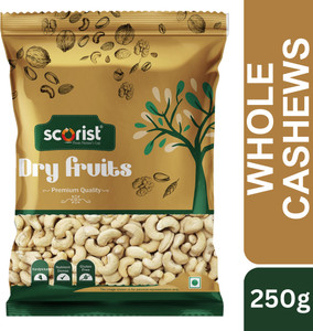 Scorist Popular Raw Cashews