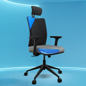 Back Pain Best Ergonomic Chair Under $300 The Sleep Company Onyx