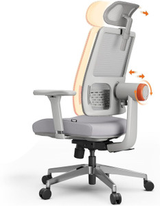 Drogo Ergonomic Office for Work from Home Computer Adaptive Lumbar Support Mesh Office Executive Chair