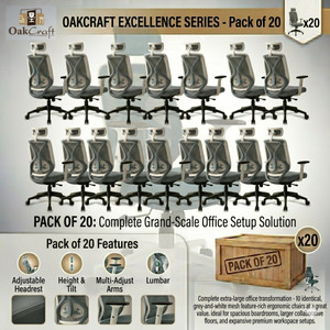 Oakcraft Mesh Office Adjustable Arm Chair