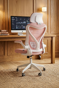 Drogo Office Chair for Work from Home Computer Chair with Head & Lumbar Support Mesh Office Executive Chair