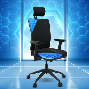 The Sleep Company Onyx SmartGRID Premium Orthopedic High-Back Desk Chair for Office & Home Nylon Office Executive Chair