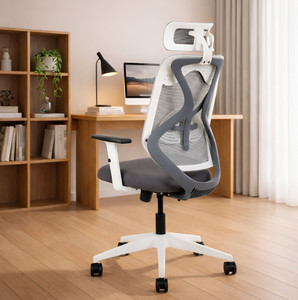 IAFA Ergolux High Back Ergonomic Office Chair With Nylon Base Mesh Office Adjustable Arm Chair
