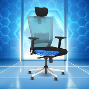 The Sleep Company Stylux SmartGRID Premium Ergonomic High-Back Desk Chair for Office & Home Nylon Office Executive Chair