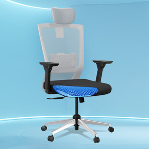 The Sleep Company Stylux SmartGRID Premium Ergonomic High-Back Desk for Office & Home Nylon Office Executive Chair