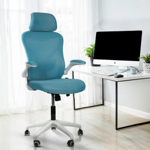 Drogo Office Chair for Work from Home Computer Chair with Head & Lumbar Support Mesh Office Executive Chair