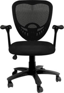 Guru Cotton Blend, Rayon Study Arm Chair