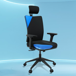 The Sleep Company Onyx SmartGRID Premium Orthopedic High-Back Desk Chair for Office & Home Nylon Office Executive Chair