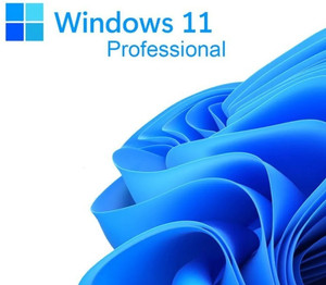 MICROSOFT Windows 11 Professional (1 User/PC, Lifetime Validity