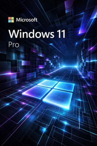 MICROSOFT Windows 11 Professional Lifetime License ( 2026 Updated ...