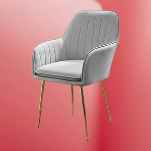 BHAGYA Velvet Dining Chairs, Cushion Seat Chair for Living Room Bedroom Restaurant Solid Wood Dining Chair