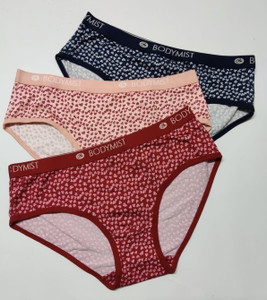 Bodymist Women Hipster Multicolor Panty