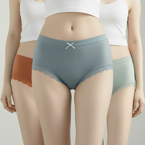 Wincly Fashion High Coverage Combed Line Free Seamless Lace Border Cotton Blend with Breathable Women Hipster Multicolor Panty