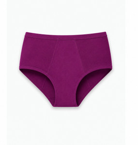 Healthfab Women Periods Purple Panty