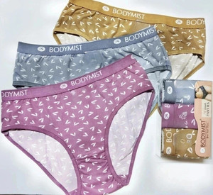 Bodymist Women Hipster Grey Panty