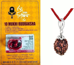HARIDWARR 10 Mukhi Rudraksha Original and Natural with Lab Report Silver Wood Pendant Wood Locket