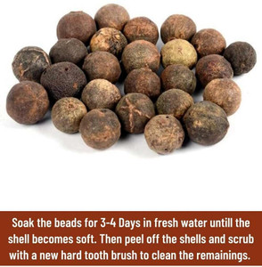 Rudraksham Rudraksha Nepali Scared Fruit (Set of 1) Wood Pendant Set