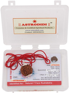 Astrodidi 7 Mukhi Rudraksha With Lab Report Silver Wood Pendant