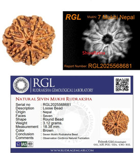 ShivaRatna 7 Mukhi X Ray Certified Rudraksha Bead - Nepal Origin - Hand Picked Silk Dori