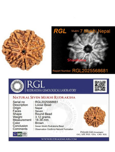 ShivaRatna 7 Mukhi X Ray Certified Rudraksha Bead - Nepal Origin - Hand Picked Silk Dori