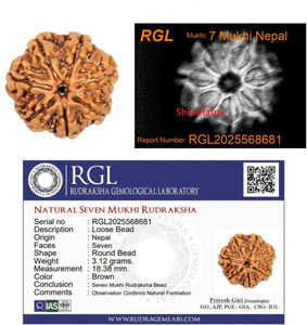शिवरत्न 7 Mukhi X Ray Certified Rudraksha Bead - Nepal Origin - Hand Picked सिल्क डोरी
