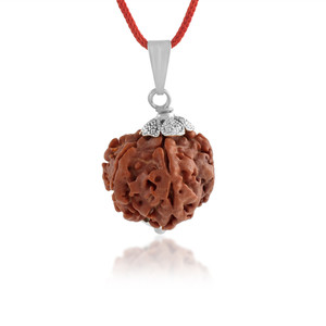 Admier 7 Mukhi Nepali Rudraksha Pendant SEVEN Faced Rudraksha Natural & Certified Sterling Silver Alloy Pendant