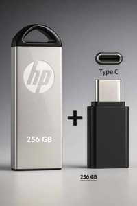 HP V229 256 GB Pen Drive Compatible with Laptop, Gaming Console, Audio Player, Television, Mobile USB 2.0 Metal Case