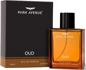 PARK AVENUE OUD PERFUME 100ML Eau de Parfum - Image 2