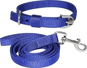 sachi sports Dog Collar & Leash