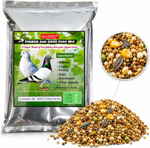 MASHKI Bird Food for Pigeons & Doves | Seeds, Grains & Maize Blend Nuts, Oats 5 kg Dry Adult, New Born, Senior, Young Bird Food