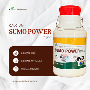 SUMO POWER ULTRA CALCIUM 5 LITRE FOR COW, BUFFALO Pet Health Supplements