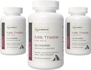 milk thistle and dogs