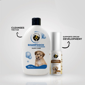 Dog shampoo flipkart store