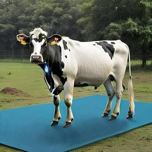 Agrima A_COWMATBLU Cow Pet Mat