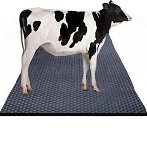 Ursus Jindal Cow mat Premium Black Cow, Dog, Hamster, Guinea Pig, Miniature Pig Pet Mat