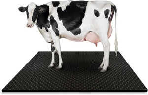 JINDALMAT Cow Mat, Mat for Cow, Buffalo, Bull,Horse, Rubber Mat for All Animal( black) Cow, Dog, Hamster, Guinea Pig, Miniature Pig Pet Mat