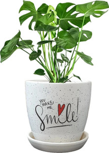 MUMU Ceramic Pot with Quotes | you make me smile | Pot with tray and drainage hole. Plant Container Set