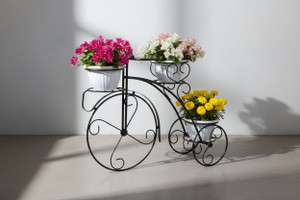 Green Gardenia Black Cycle Planter Stand, Tricycle Plant Holder Ideal for Home, Garden, Terrace Plant Container Set