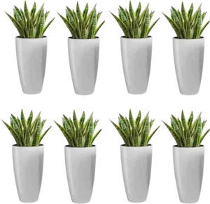 Muddstyles Plastic Tower Pot 8.5 inch Flower Pot for Home office Garden Balcony Plant Container Set