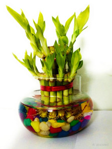 GREEN-HOMES Two Layer Bamboo Plant