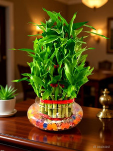 Real Nature Three Layer Bamboo Plant