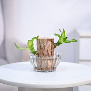 UGAOO Brazilian Wood