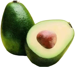 sspykrts Avocado Plant